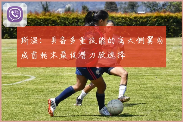 斯温：具备多重技能的高大侧翼或成首轮末最佳潜力股选择